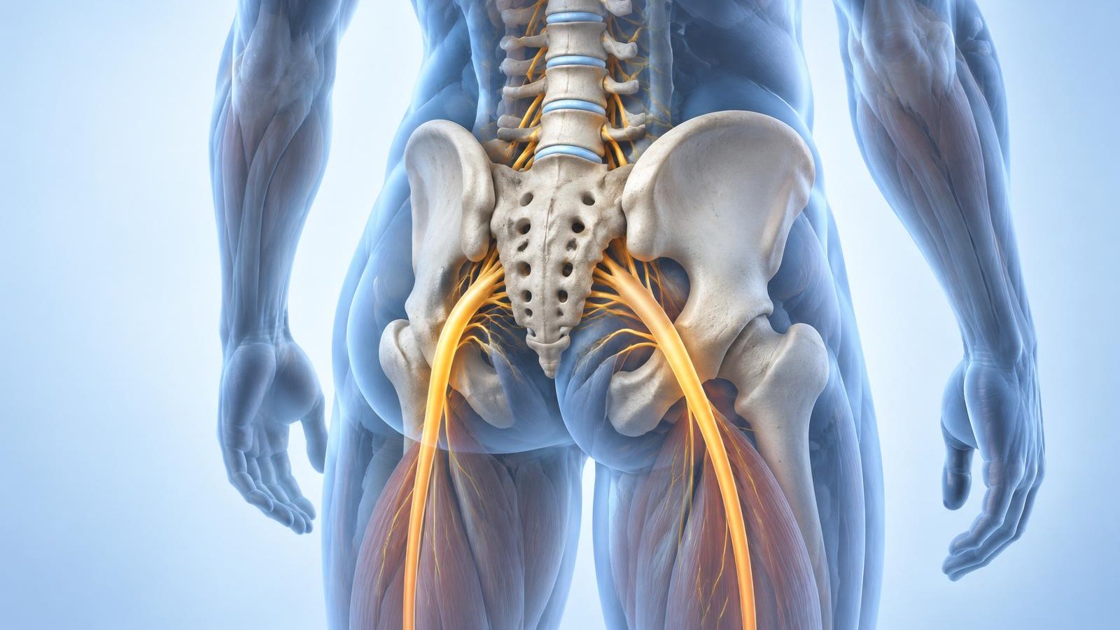 AI-generated anatomical illustration of the lumbar spine and pelvis with highlighted nerve pathways extending into the upper legs.